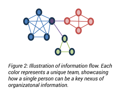 Figure 2: Illustration of information flow. Each color represents a unique team, showcasing how a single person can be a key nexus of organizatonal information.